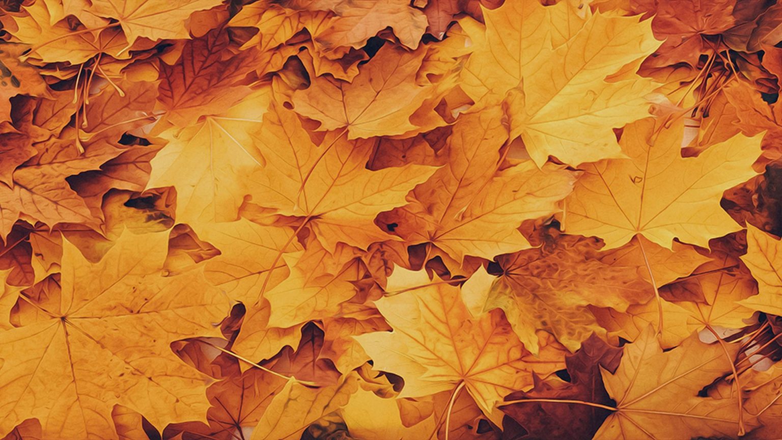 Fall Aesthetic Wallpaper for Laptop • 2022 Cute Wallpaper HD