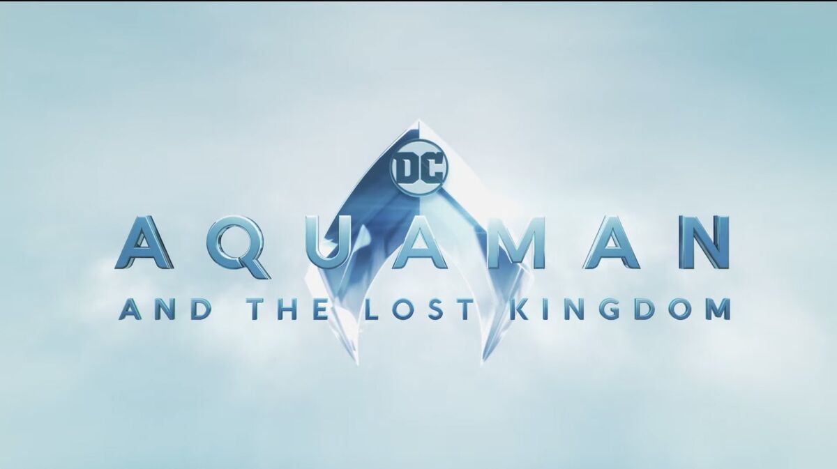 Aquaman and the Lost Kingdom. DC Extended Universe