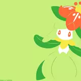 Lilligant HD Wallpapers