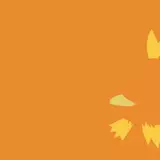 Torchic HD Wallpapers